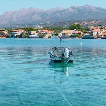 Κατοικία 80 Τ.Μ. Δίπλα Από Την Θάλασσα Στην Ελιά. Elia  エクステリア 写真