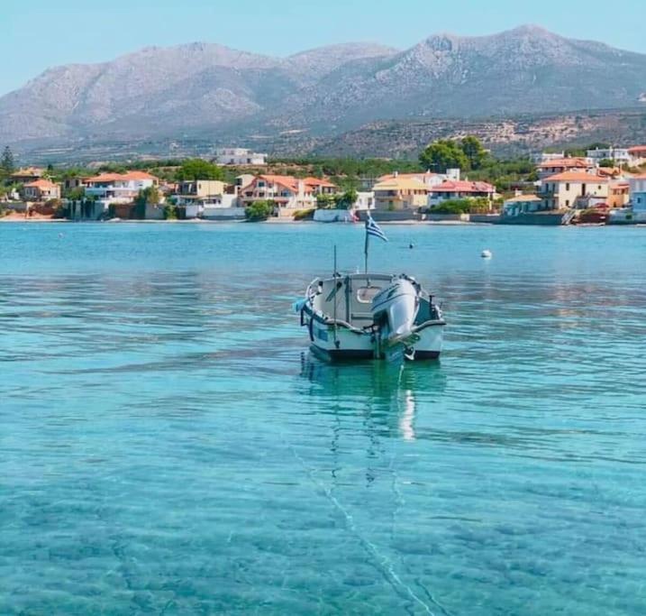 Κατοικία 80 Τ.Μ. Δίπλα Από Την Θάλασσα Στην Ελιά. Elia  エクステリア 写真